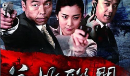 电视剧双枪演员表,揭秘电视剧双枪演员阵容及角色亮点