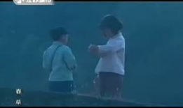 春草电视剧全集33集,情感纠葛与命运抉择