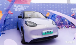 国产精品热在线,在线观看的视听盛宴