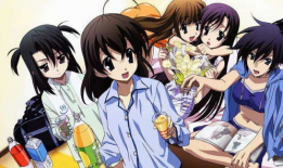 日本动漫后宫番,日本动漫中的浪漫纠葛与情感漩涡