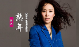 那英电视剧,影视歌坛三栖明星的璀璨人生