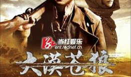 沙漠苍狼电视剧,烽火岁月里的忠诚与信仰