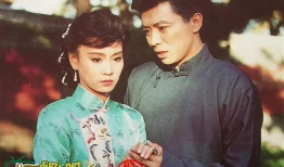 梅花 电视剧,风华绝代，谱写乱世佳人传奇